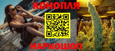 гидропоника Рязань