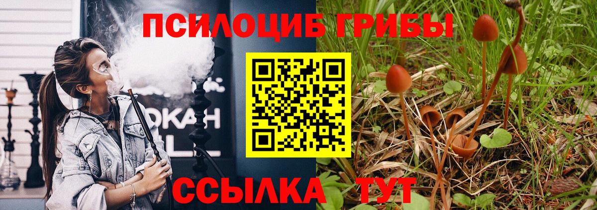 Псилоцибиновые грибы MAGIC MUSHROOMS  Вход с VPN  Альметьевск 