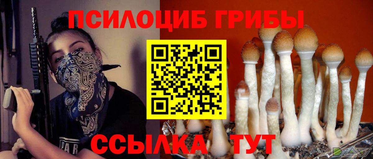 Галлюциногенные грибы прущие грибы  Галлюциногенные грибы Psilocybe  Альметьевск 